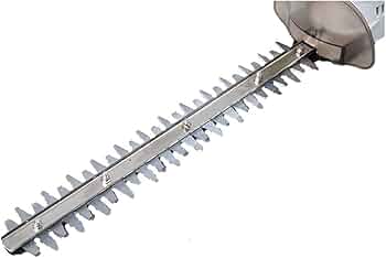 51gGcfjpJjL._AC_UF350,