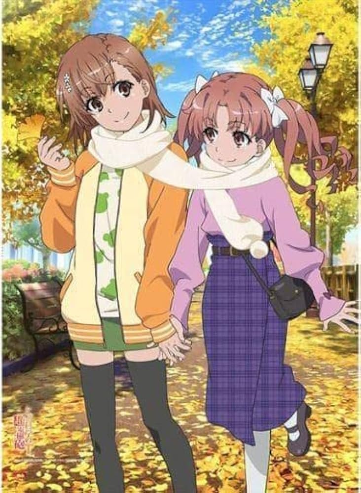 Amazon.co.jp: 御坂美琴 白井黒子 B2 タペストリー とある科学の超電磁