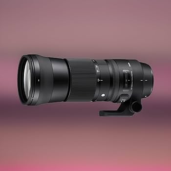 Amazon | Sigma (シグマ) 150～600mm 5～6.3 コンテンポラリー DG OS