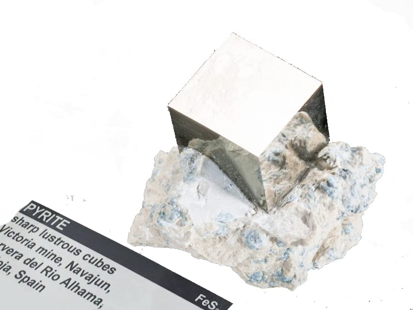 Amazon | SCIENCE 母岩付鉱物標本 鉱物結晶「母岩付 黄鉄鉱 (おうてっ