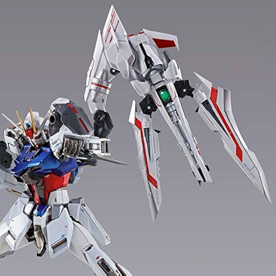 Amazon.co.jp: METAL BUILD 機動戦士ガンダムSEED ASTRAY