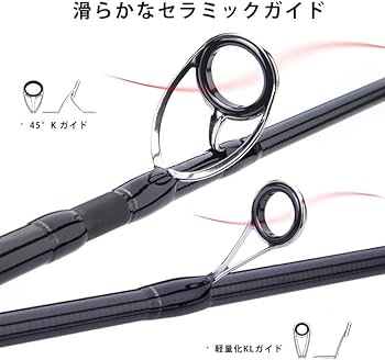 Amazon | Dananierコンクアー(Conquer) シーバスロッド スピニング