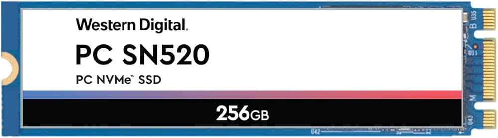 Western Digital SN520 SSD 256GB M.2 2280 PCIe : Amazon.it: Informatica