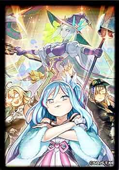 Amazon | 遊戯王カード 特製デュエリストカードプロテクター（70枚入り