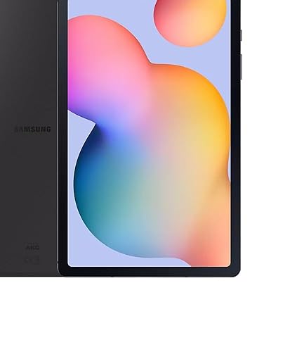 Amazon.com : Samsung Galaxy Tab S6 Lite 10.4