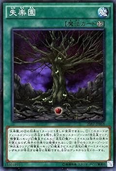 Amazon.co.jp: 遊戯王 失楽園 スーパーパラレルレア 20AP 20th