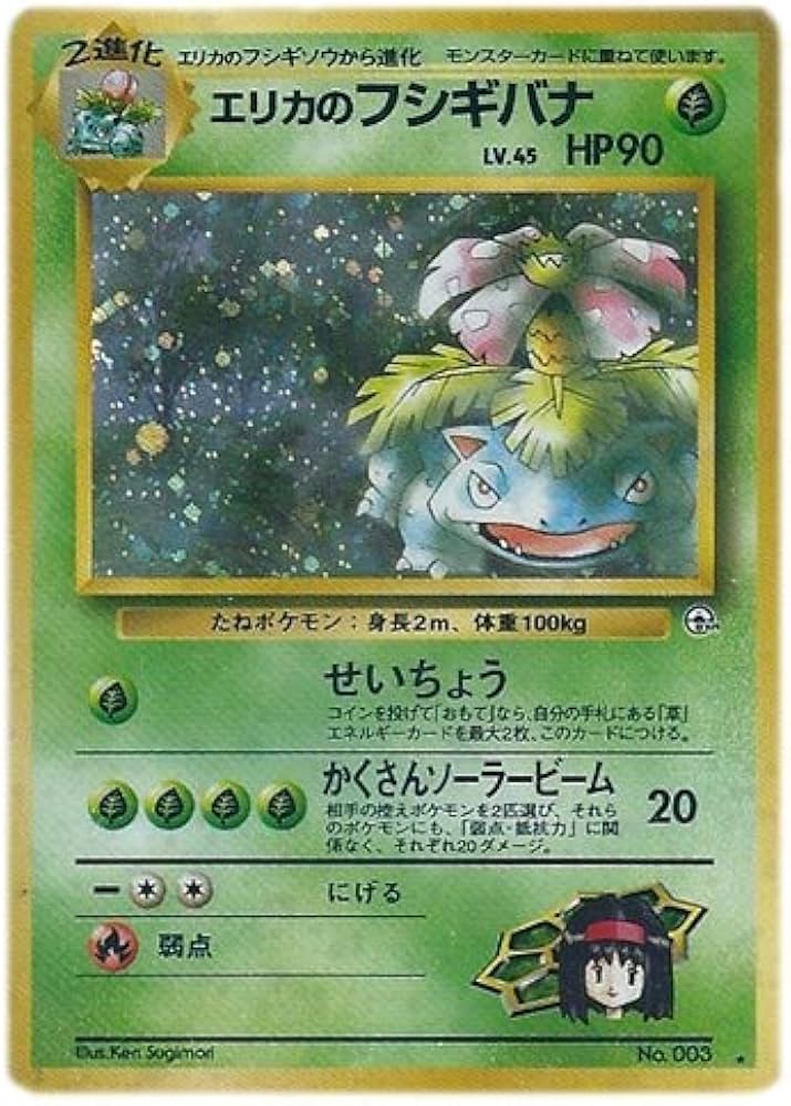 Amazon.co.jp: ポケモンカード 旧裏面 ジム拡張 第2弾「闇からの挑戦