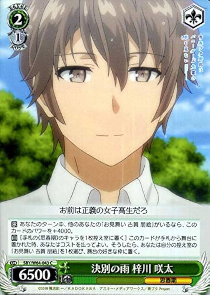 Amazon.co.jp: ヴァイスシュヴァルツ 青春ブタ野郎はバニーガール先輩