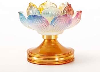 51lChRfdMOL._AC_UF350,