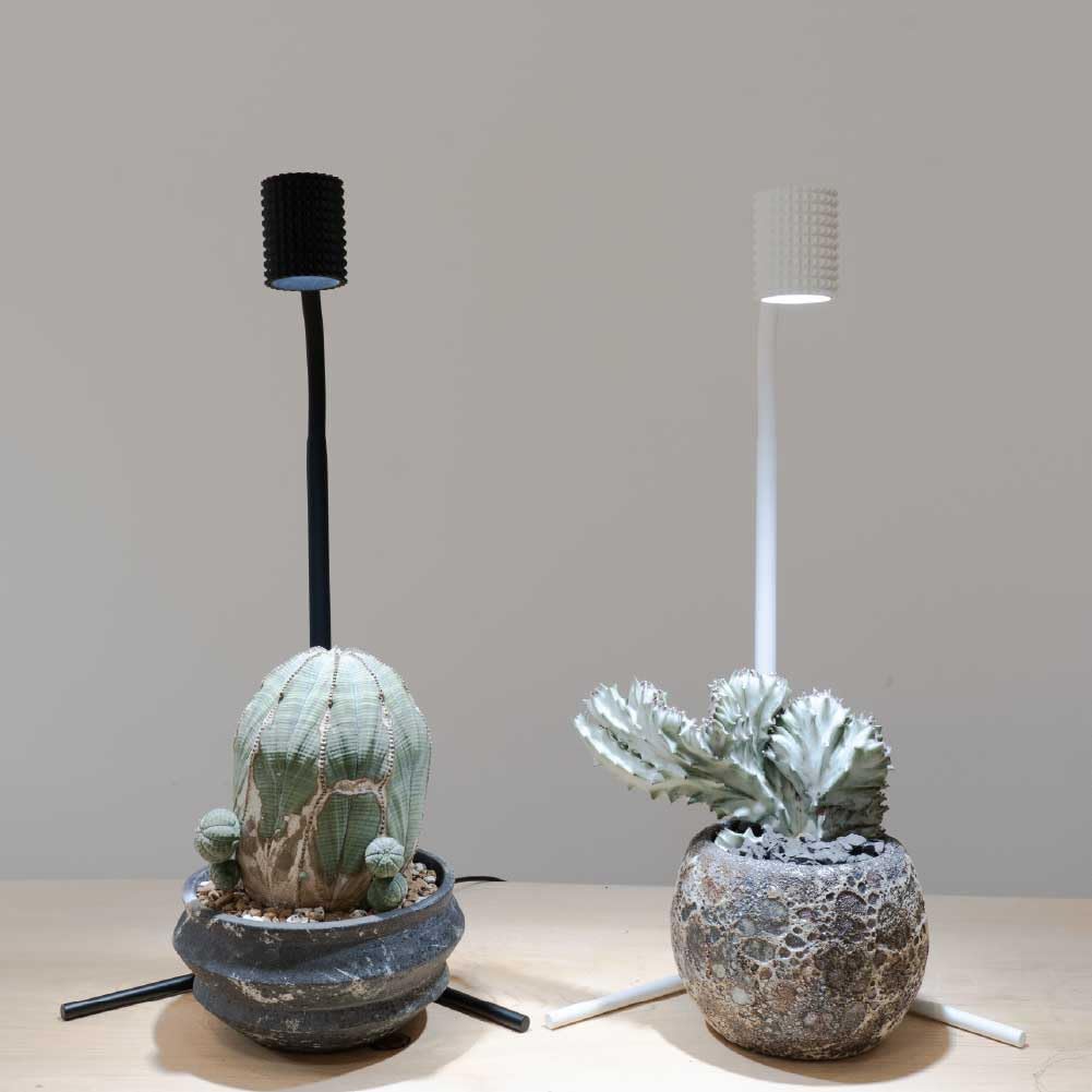 Amazon.co.jp: BARREL 正規代理店【YEW-7W】（ユー）ホワイト植物育成