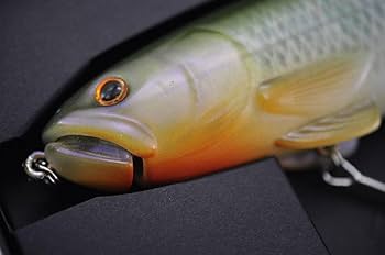 Amazon.co.jp: デプス ウェブメンバー スライドスイマー 175 シャダー