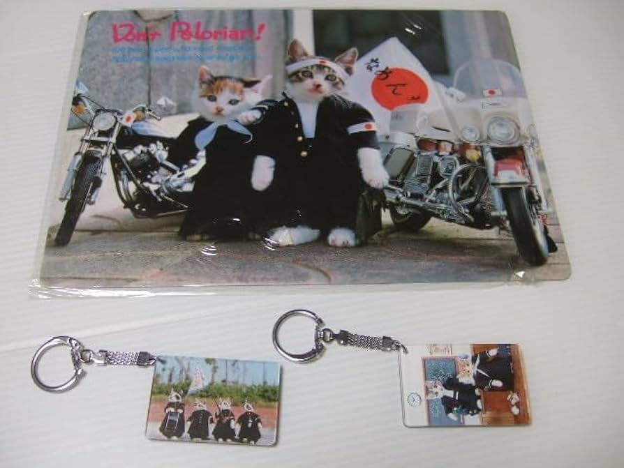 Amazon.co.jp: 当時物 なめ猫 Don′t Pelorian下敷き 昭和レトロ 昭和