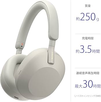 Amazon.co.jp: ソニー(SONY) ワイヤレスノイズキャンセリングステレオ