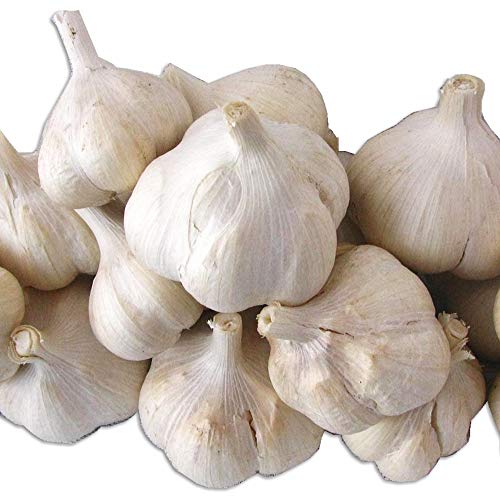 にんにく 10kg」の人気商品一覧 | 安い商品を通販サイトから探す