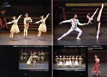 白鳥の湖 SWAN LAKE 新国立劇場バレエ団オフィシャルDVD BOOKS (バレエ