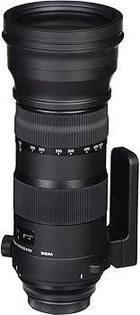 Amazon.co.jp: SIGMA 150-600mm F5-6.3 DG OS HSM | Sports S014