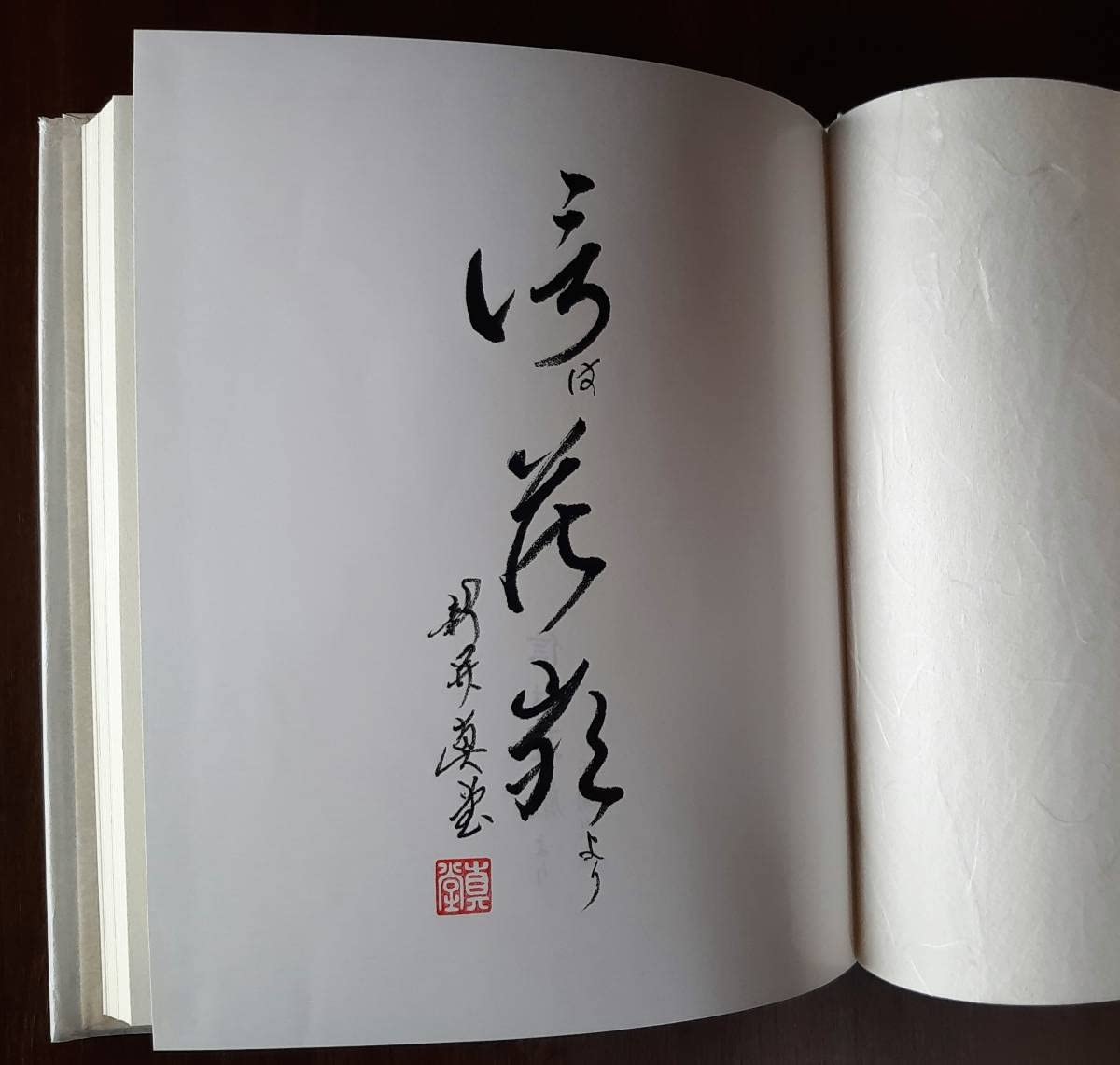 Amazon.co.jp: 初心者のための道場荘厳の道標 中・三両流を中心として