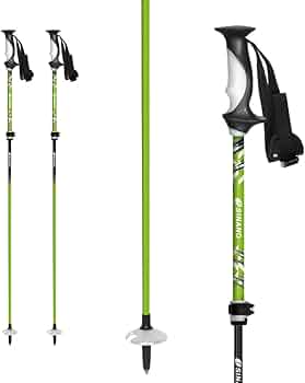 Amazon.co.jp: SINANO シナノ スキー ポール ストック ＜2024＞ フリー