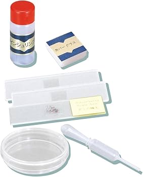 Amazon.co.jp: ビクセン 顕微鏡 学習用顕微鏡セット ミクロスコープ