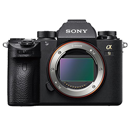 SONY 初代 α7S フルサイズ ミラーレス一眼 【公式通販】
