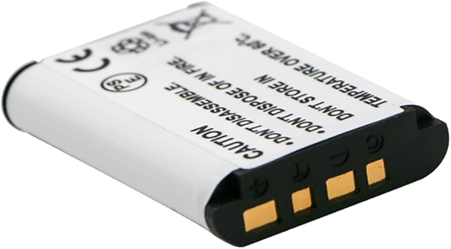 Amazon.com: BnvxR Battery Pack for Sony Cyber-Shot DSC-H400, DSC