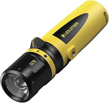 51nL7BBlOML._AC_UF350,