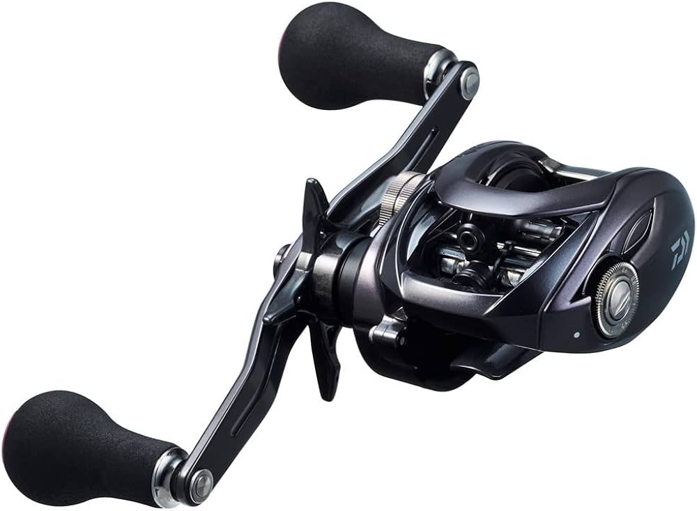 Amazon | ダイワ(DAIWA) ベイトリール 23紅牙 100 | ダイワ(DAIWA