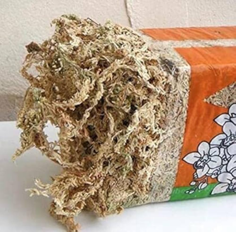 Amazon | ニュージーランド産 ミズゴケ水苔5A/3A (3A 40L) | 用土