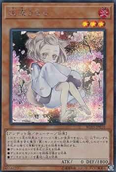 51oMgJyAmpL._AC_UF350,