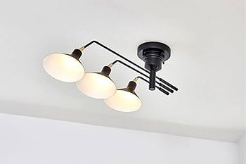 Amazon.co.jp : インターフォルム シーリングライト LT-9520BK ロネ