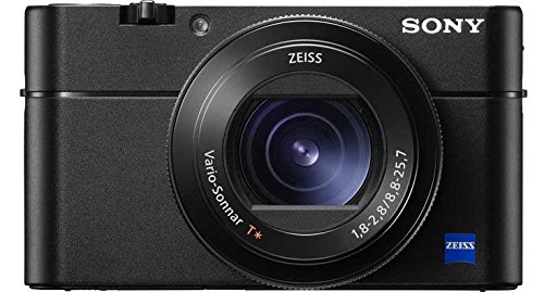 sony dsc-rx100」の人気商品一覧 | 安い商品を通販サイトから探す