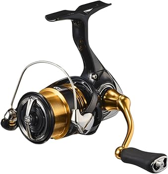 Daiwa LT1000S Spinning Reel 23 Regalis : Amazon.ca: Sports & Outdoors