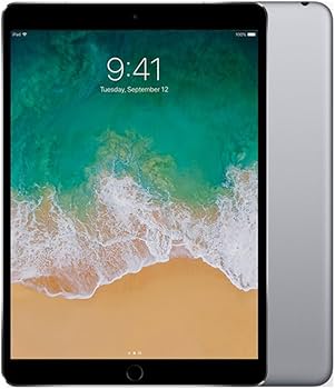 Amazon.com : Apple iPad Pro 10.5in (2017) 256GB, Wi-Fi - Space