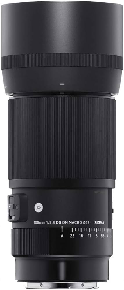 Amazon.com : Sigma 105mm F2.8 DG DN Macro Art (L-mount) : Electronics