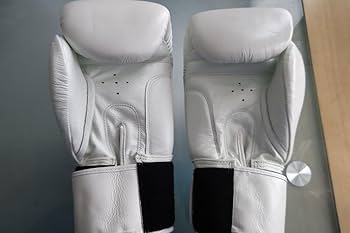 Amazon.co.jp: ボクシングWBC世界フライ級チャンピオン内藤大助直筆