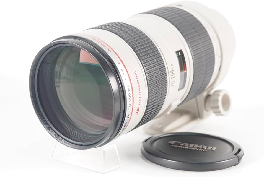 Canon EF 70-200mm f/2.8 L USM Lens : Amazon.ca: Electronics