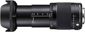 Amazon.co.jp: シグマ(Sigma) SIGMA 18-300mm F3.5-6.3 DC MACRO OS