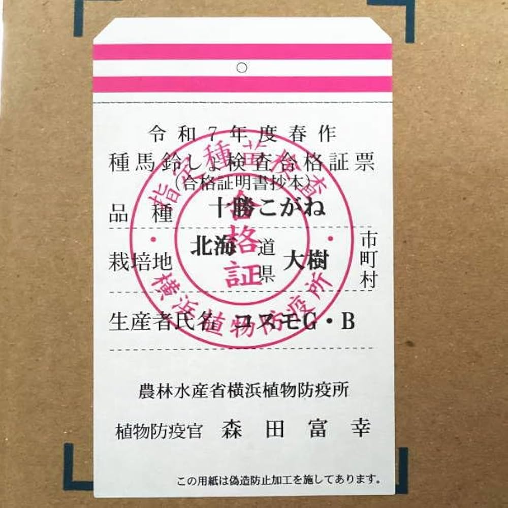 Amazon.co.jp: じゃがいも 十勝こがね 種芋 500g ジャガイモ L～S