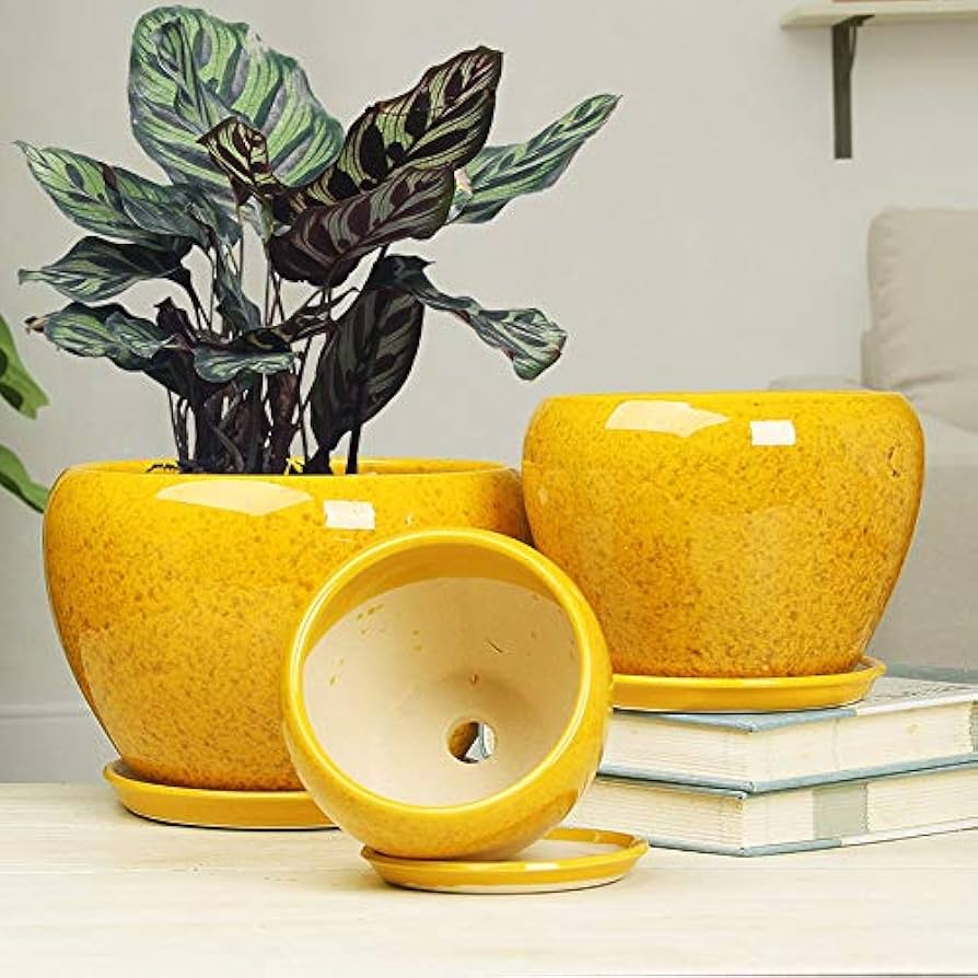 Amazon｜シンプルな植木鉢中華風黄色い花釉セラミックポット屋内大型