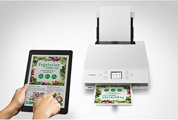 Amazon.co.jp: キヤノン Canon プリンター A4インクジェット複合機