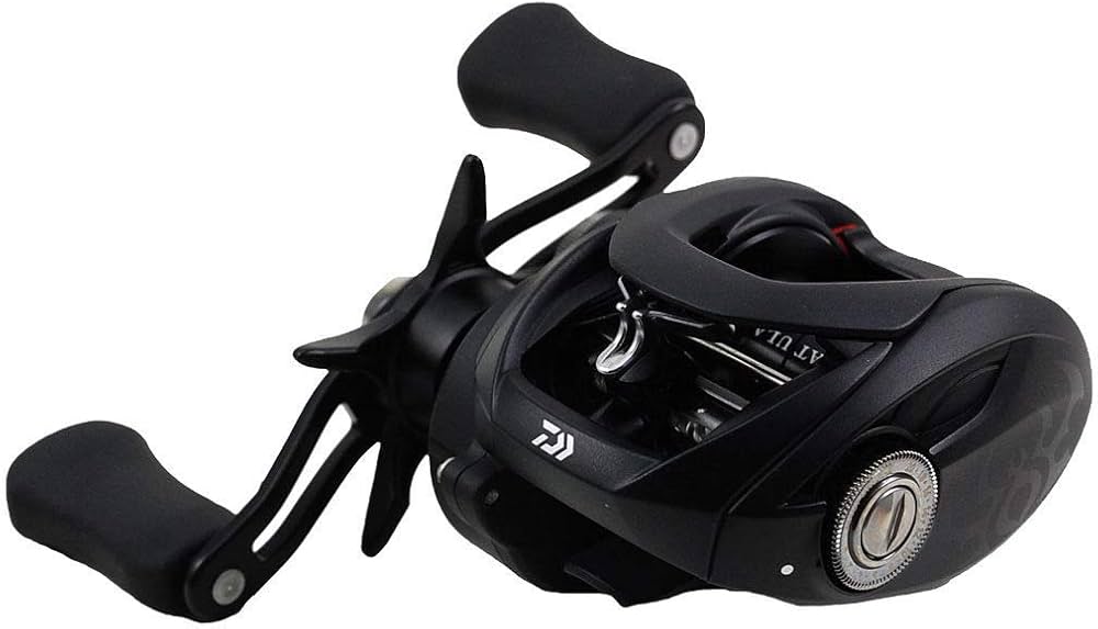 Amazon.co.jp | ダイワ タトゥーラ 100H TTU 100H 右ハンドル 6.3:1