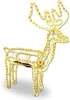 51rnaLDnrBL._AC_UF350,