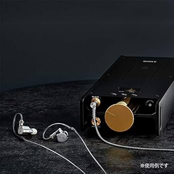 Amazon.co.jp: ソニー(SONY) IER-Z1R カナル型 有線 イヤホン