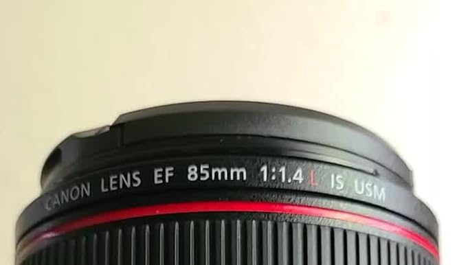 Amazon.com : Canon EF 85mm f/1.4L IS USM - DSLR Lens with IS