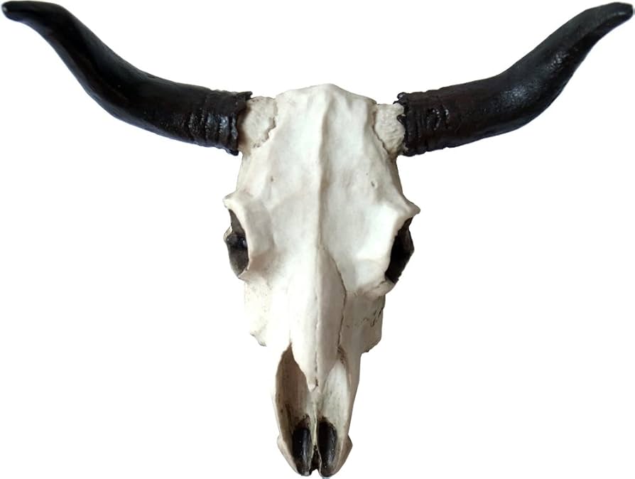 Amazon.co.jp: ネイティブ アメリカン バッファロー スカルヘッド/牛