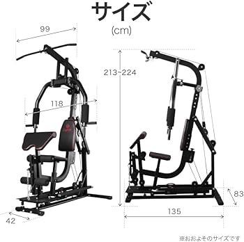 Amazon | ライシン マルチトレーニング DX ホームジム 大型 ワイヤー式