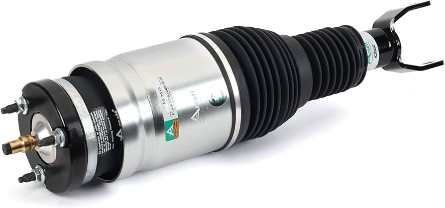 Amazon.com: Arnott - Front Eibach Air Strut-15-18 RAM 1500 REBEL