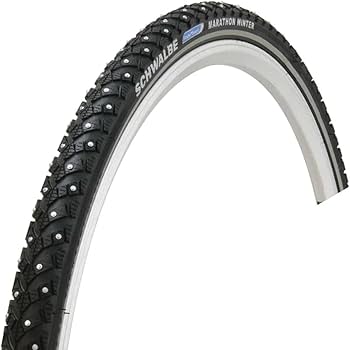 Amazon | SCHWALBE(シュワルベ) 【正規品】マラソンウィンター プラス