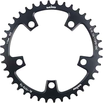 51szrWupO5L._AC_UF350,