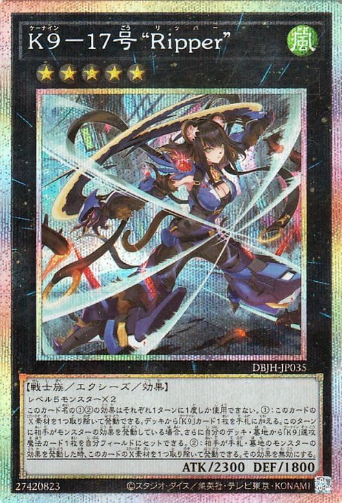 K*h様 遊戯王 閃刀姫レイ 25th シークレットレア絵違い PSA10 遊戯王